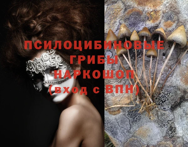 меф Армянск