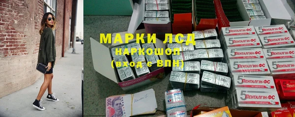 шишки Аркадак