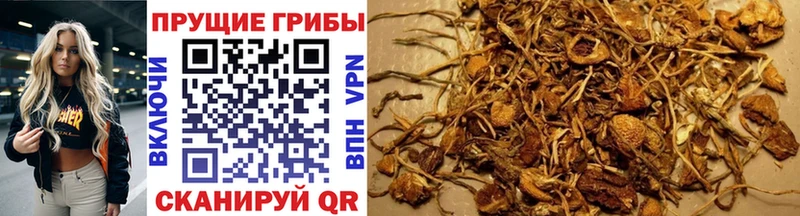 Галлюциногенные грибы MAGIC MUSHROOMS  Ржев 