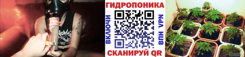 купить наркотик  Ржев  Бошки марихуана гибрид 